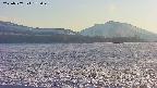 area3-20250507175046.jpg