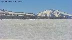 area3-20250508072042.jpg