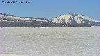 area3-20250508075046.jpg
