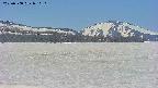 area3-20250508080123.jpg