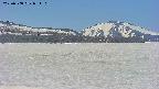 area3-20250508081108.jpg