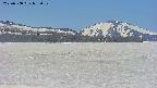 area3-20250508082054.jpg