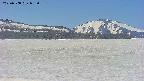 area3-20250508083100.jpg