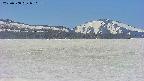 area3-20250508090200.jpg