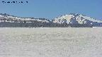 area3-20250508093442.jpg