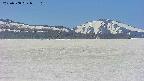 area3-20250508095117.jpg