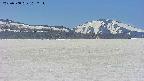area3-20250508102304.jpg