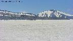 area3-20250508105054.jpg