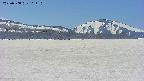 area3-20250508111119.jpg