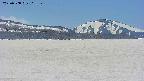 area3-20250508112142.jpg