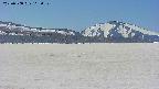 area3-20250508113055.jpg