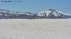 area3-20250508115106.jpg