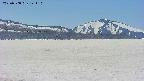 area3-20250508121112.jpg