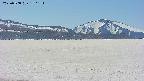 area3-20250508130214.jpg