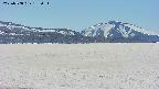 area3-20250508132101.jpg