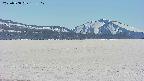 area3-20250508133112.jpg