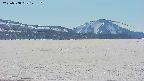area3-20250508142119.jpg