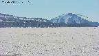 area3-20250508143107.jpg