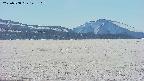 area3-20250508145116.jpg