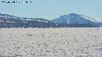 area3-20250508150059.jpg