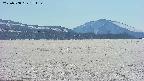area3-20250508151204.jpg