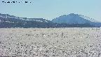 area3-20250508154100.jpg