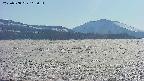 area3-20250508162057.jpg