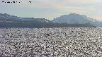 area3-20250508172127.jpg