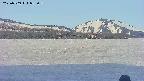 area3-20250509055130.jpg