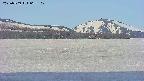 area3-20250509062115.jpg
