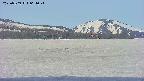 area3-20250509064046.jpg