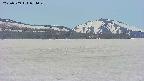area3-20250509074044.jpg