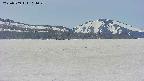 area3-20250509104044.jpg