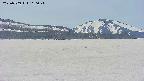 area3-20250509110045.jpg