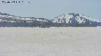 area3-20250509112157.jpg