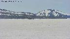 area3-20250509113644.jpg