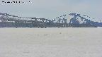 area3-20250509125118.jpg