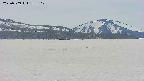 area3-20250509132103.jpg