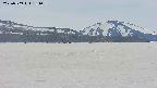 area3-20250509134058.jpg