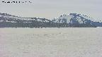 area3-20250509140103.jpg