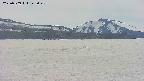 area3-20250509142050.jpg