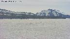 area3-20250509143119.jpg