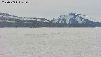 area3-20250509145101.jpg