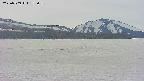 area3-20250509152059.jpg
