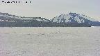 area3-20250509153055.jpg
