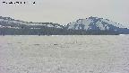 area3-20250509155059.jpg