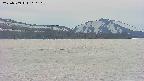 area3-20250509160128.jpg