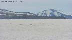 area3-20250509162108.jpg