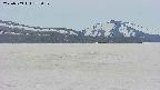 area3-20250509172100.jpg