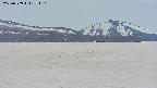 area3-20250509174110.jpg